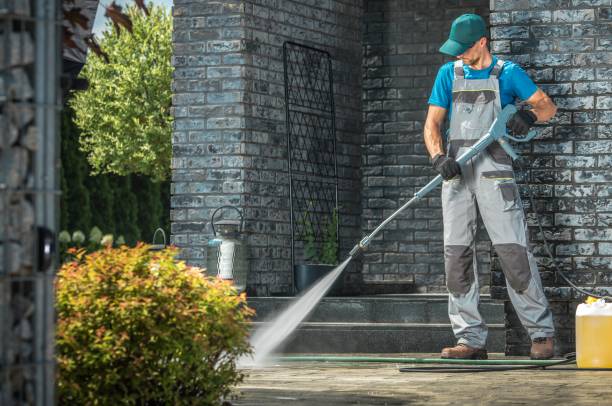 Best Animal Enclosure Cleaning  in Mars Hill, NC