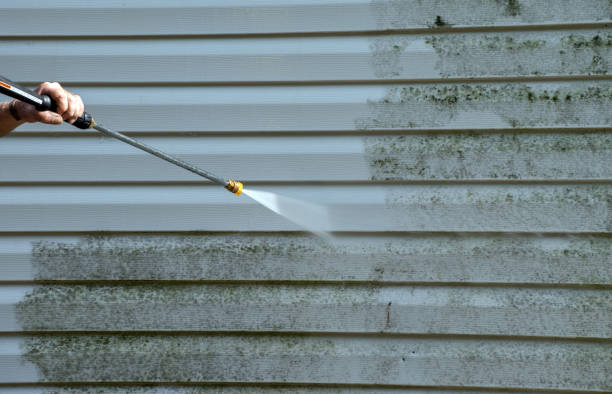 Best Dumpster Area Cleaning  in Mars Hill, NC